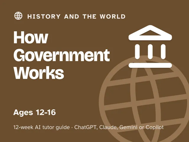 Cover of How Government Works