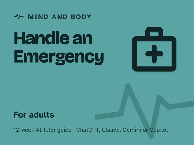 Cover of Handle an Emergency