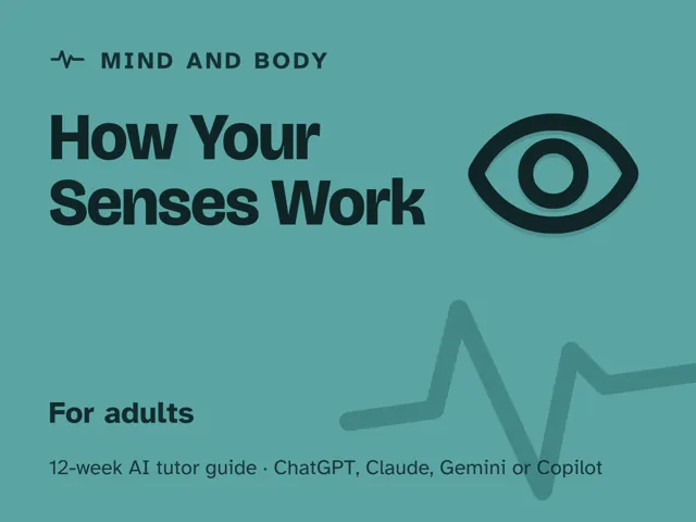 Cover of How Your Senses Work