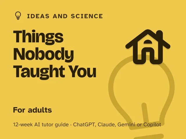 Cover of Things Nobody Taught You